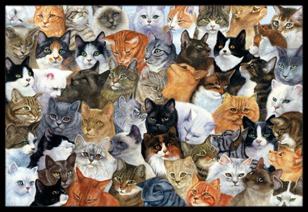 Cats Galore Indoor or Outdoor Mat- 18 x 27