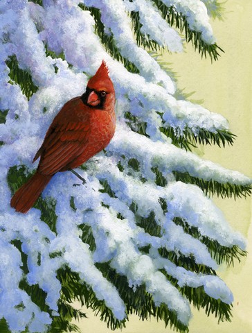Red Cardinal by Daphne Baxter Flag Canvas House Size