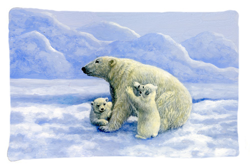 Polar Bears by Daphne Baxter Fabric Standard Pillowcase