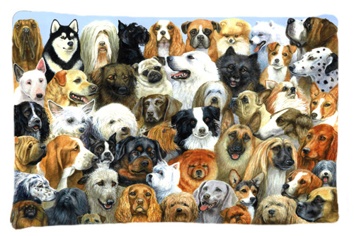 Fifty One Dogs Fabric Standard Pillowcase