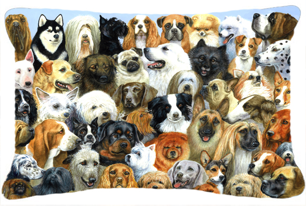 Picture of Carolines Treasures BDBA0441PW1216 Fifty One Dogs Fabric Decorative Pillow