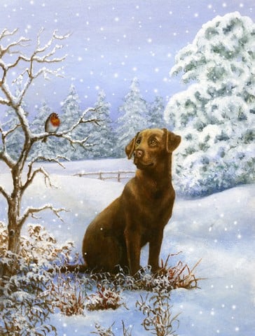 Chocolate Labrador Snowy Robin Flag Canvas House Size