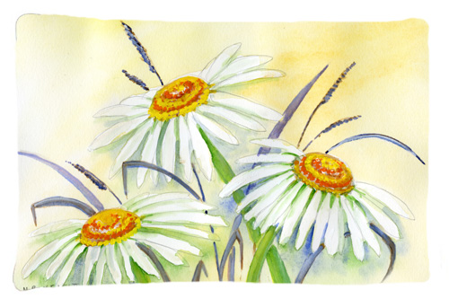 Daisies by Maureen Bonfield Fabric Standard Pillowcase