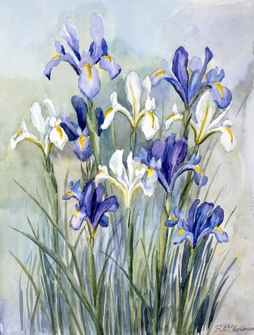 CBC0033CHF Iris by Bettie Cheesman Flag Canvas House Size