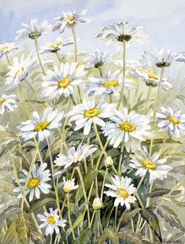 Daisies by Bettie Cheesman Flag Garden Size