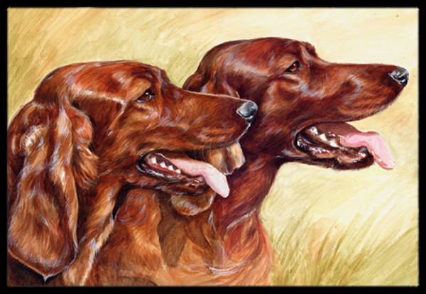 Irish Setters Indoor or Outdoor Mat 24 x 36