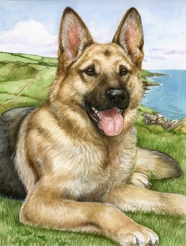 German Shepherd by Debbie Cook Flag Garden Size
