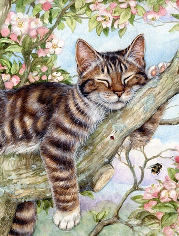 Sleepy Cat by Debbie Cook Flag Garden Size