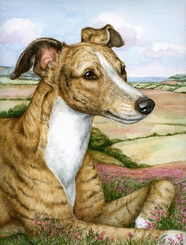 Lurcher by Debbie Cook Flag Canvas House Size