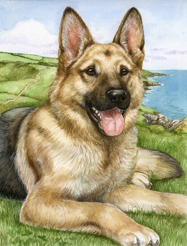 German Shepherd by Debbie Cook Flag Canvas House Size