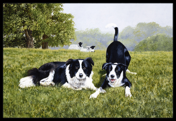 Lets Play Border Collie Indoor or Outdoor Mat, 24 x 36