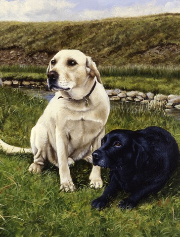 Yellow & Black Labradors Flag Garden Size
