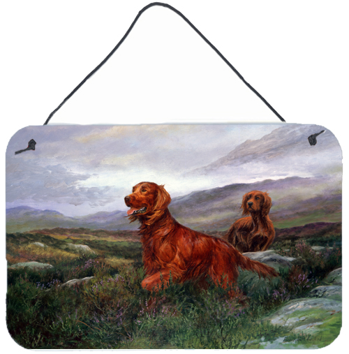 Irish Setters by Elizabeth Halstead Wall or Door Hanging Prints