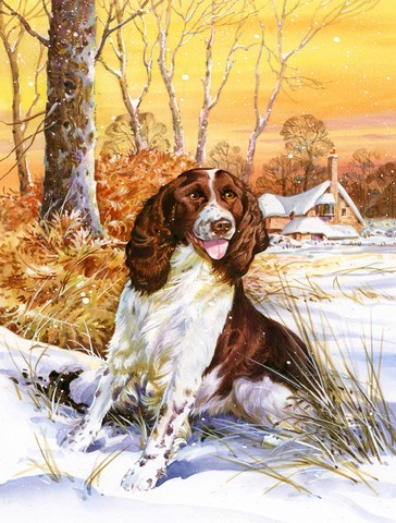 Springer Spaniel Flag Canvas House Size