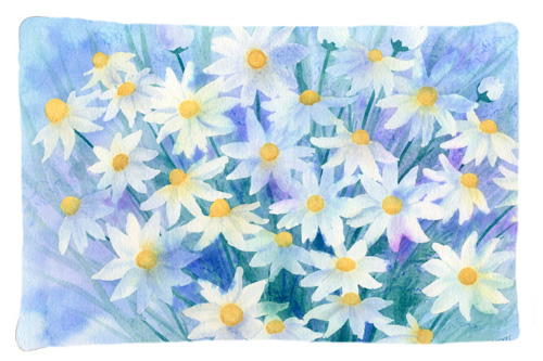 Light and Airy Daisies Fabric Standard Pillowcase