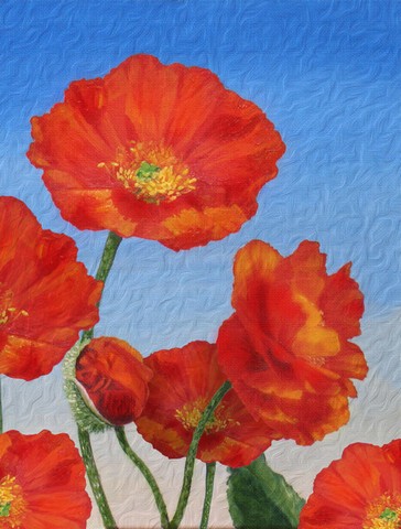 Poppies by Sinead Jones Flag Garden Size
