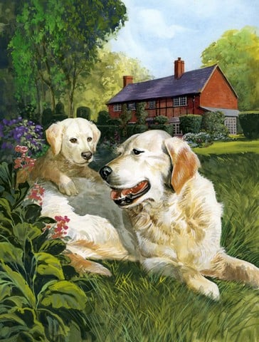 Yellow Labradors Flag Canvas House Size
