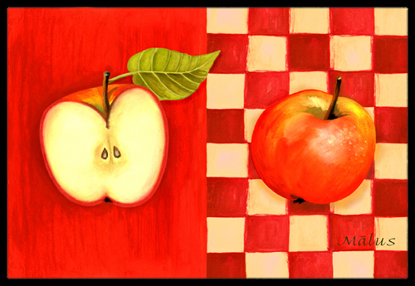 Apple by Ute Nuhn Indoor or Outdoor Mat- 18 x 27