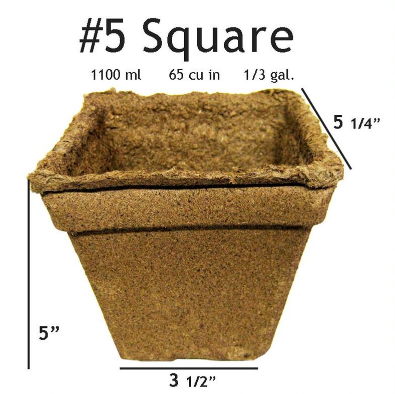 No 5 Square Pot - 60 pots