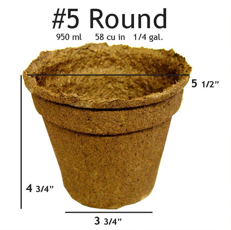 CowPots #5 Round Pot - 160 pots