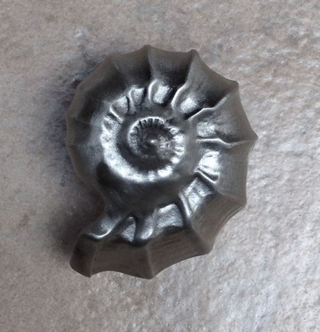 Nautilus Shell Knob- Satin