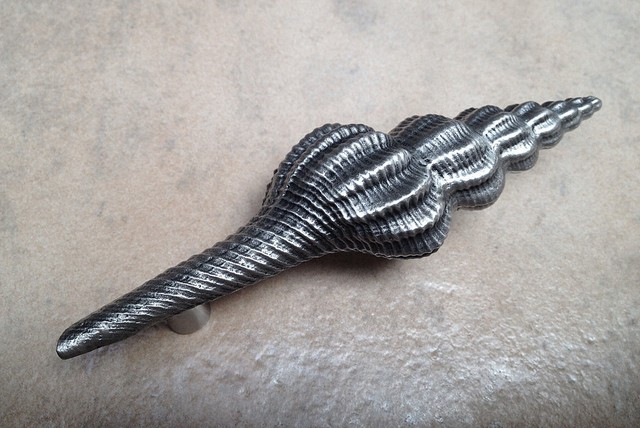 DHP49-SH Turrid Sea Shell Pull- Shiny