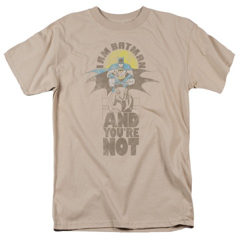 DC-And You Are Not - Short Sleeve Adult 18-1 Tee - Sand- Medium