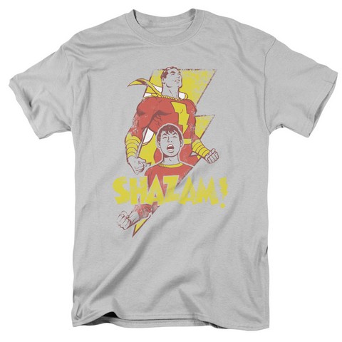Dc-Transformation - Short Sleeve Adult 18-1 Tee - Silver- 2X