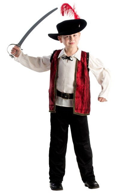 Picture of Dress Up America 799-L Courageous Musketeer Boys Costume- Large - Age 12 to 14