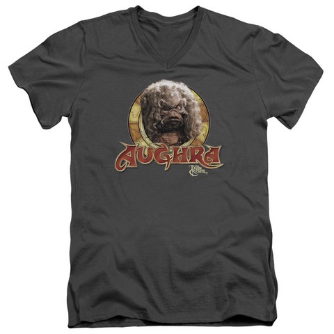 Dark Crystal-Aughra Circle - Short Sleeve Adult 30-1 Tee V-Neck - Charcoal, Medium