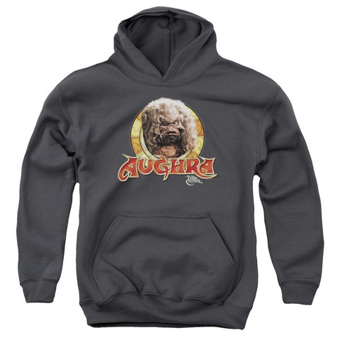 Dark Crystal-Aughra Circle - Youth Pull-Over Hoodie - Charcoal- Medium