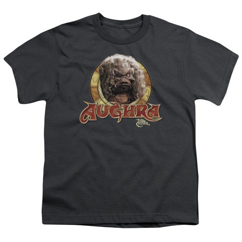 Dark Crystal-Aughra Circle - Short Sleeve Youth 18-1 Tee - Charcoal- Large
