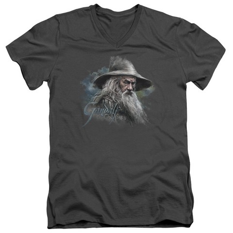 The Hobbit-Gandalf The Grey Short Sleeve Adult V-Neck 30-1 Tee- Charcoal - Large