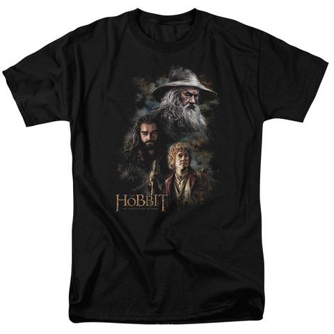 The Hobbit-Painting Short Sleeve Adult 18-1 Tee- Black - Medium