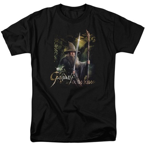 Hobbit-Sword And Staff Short Sleeve Adult 18-1 Tee- Black - Medium
