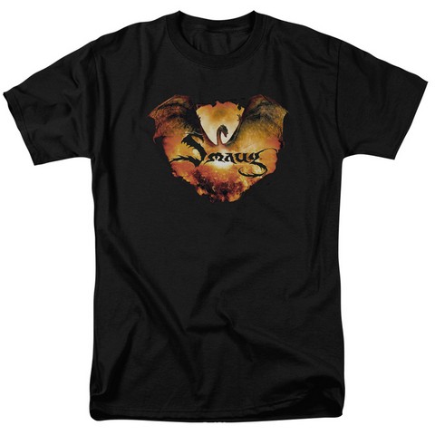 Hobbit-Reign In Flame Short Sleeve Adult 18-1 Tee- Black - Medium