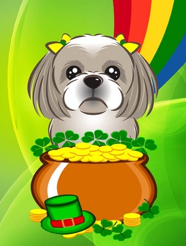 BB1994GF Gray Silver Shih Tzu St. Patricks Day Flag Garden