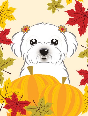 Maltese Thanksgiving Flag Garden