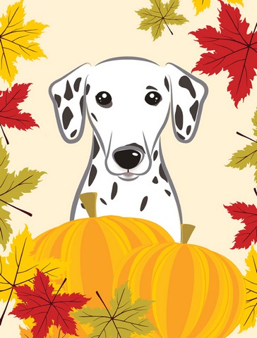 BB2016GF Dalmatian Thanksgiving Flag Garden