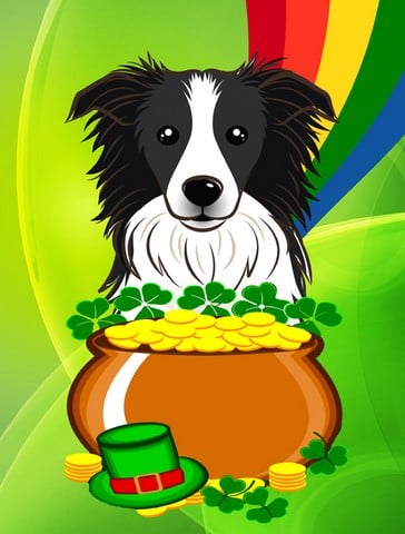 Border Collie St. Patricks Day Canvas House Flag