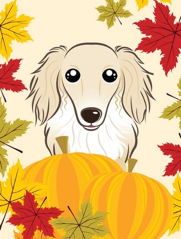 BB2018CHF Longhair Creme Dachshund Thanksgiving Canvas House Flag