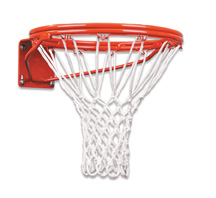 Picture of First Team FT170D Steel Heavy-Duty Double Rim Fixed Goal