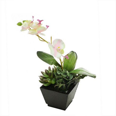 Picture of NorthLight 13 in. Artificial White Pink & Green Orchid with Succulent Plants in a Decorative Square Black Pot