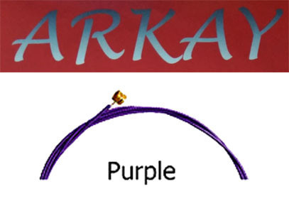 Picture of Arkay Elec 12 Purple ARK.PPL.E12 Standard Electric 12 Gauge Guitar Strings&#44; Purple