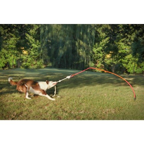 Picture of Tether Tug Tether Tug Dog Toy  Medium  FOR Dogs up to 70 pounds
