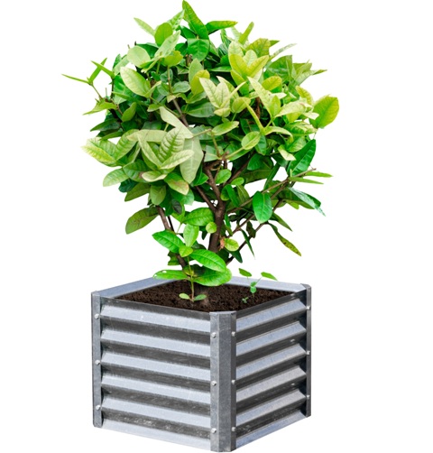 Picture of EarthMark MGB-H041 Alto Series 22 x 22 x 17 in. Square Galvanized Metal Planter