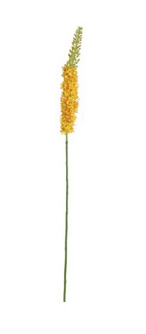 Picture of NorthLight Artificial Foxtail Decorative Floral Crafting Stem- Yellow & Green - 44 in.