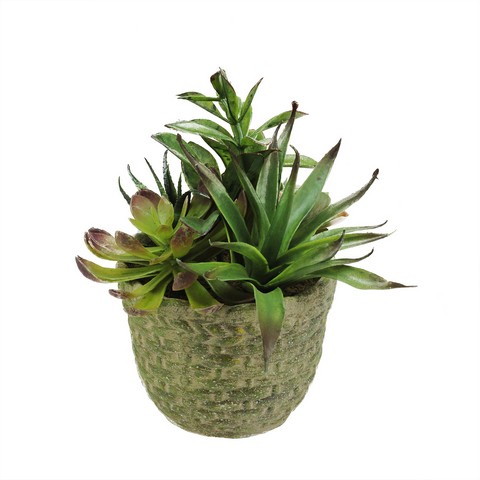 Picture of NorthLight 8.5 in. Artificial Mixed Succulent Plant Arrangement in a Brown & Green Basket Weave Pot