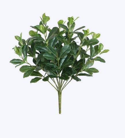 18 in. Decorative Artificial Green Two Tone Polyscias Floral Bush