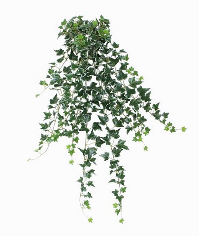 31.50 in. Decorative Green & White Ivy Spring Floral Hanging Bush